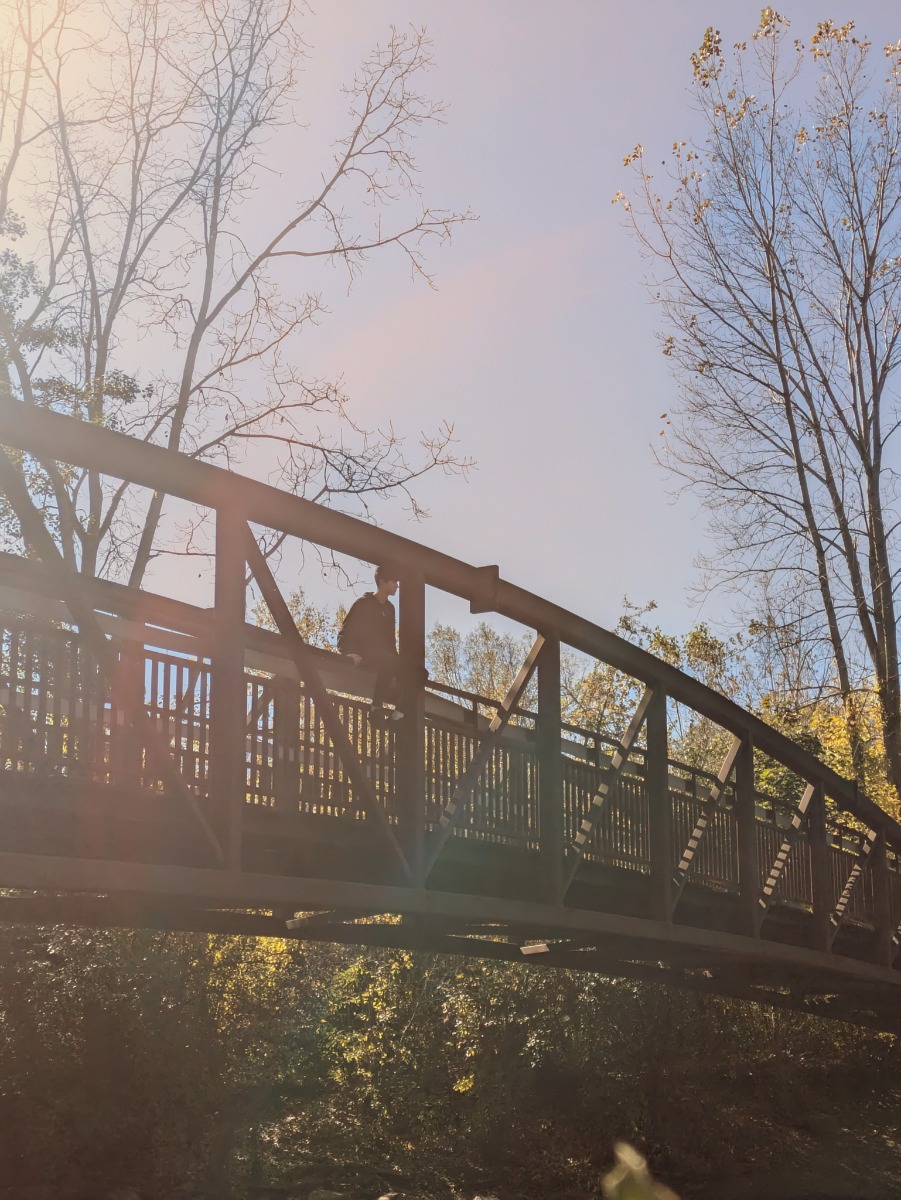 Bridge1